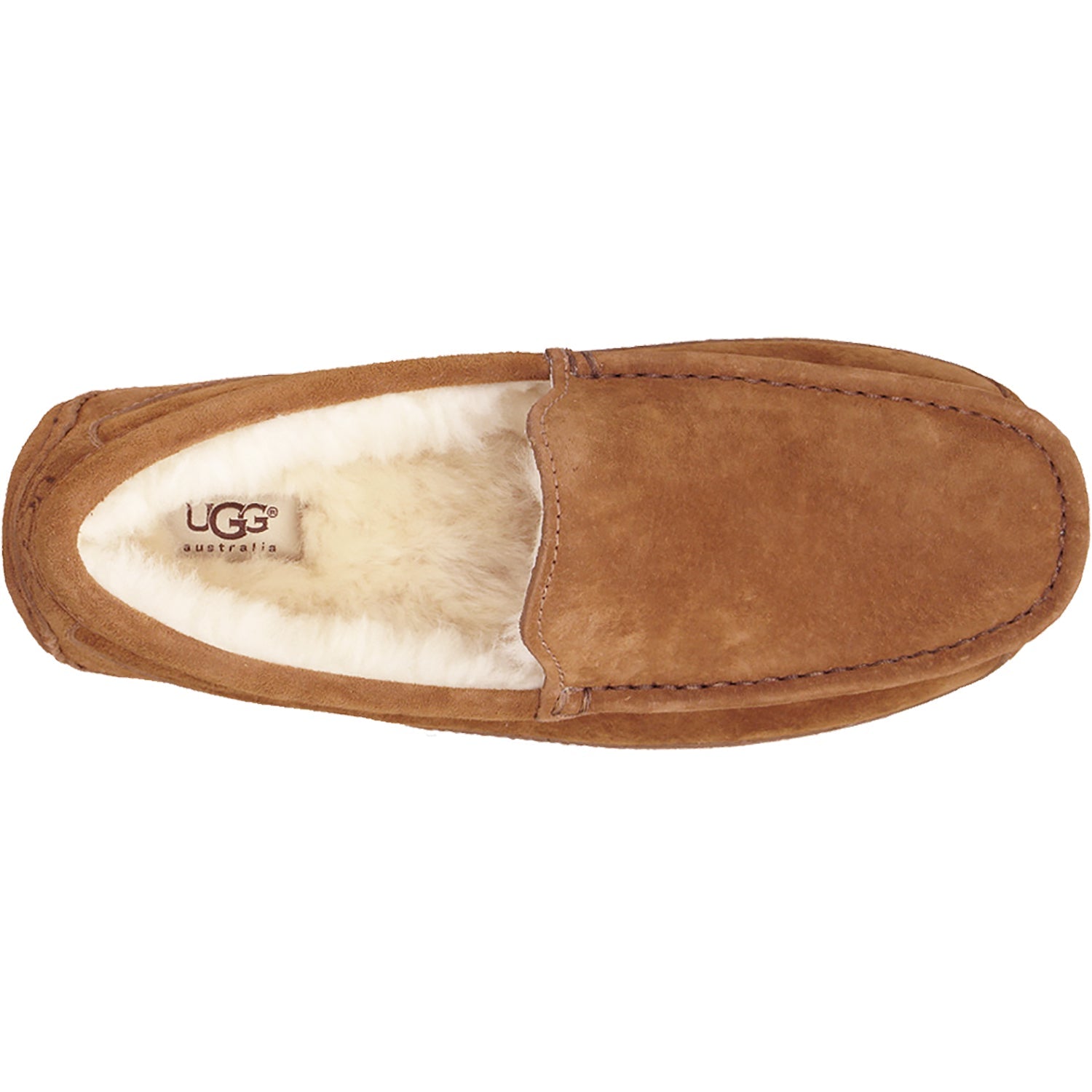 UGG Ascot Men's Ascot Suede Slippers Chestnut Suede