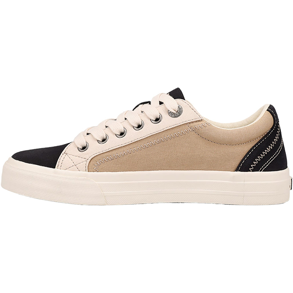 Taos Plim Soul Women's Sneakers Black/Tan Multi Canvas