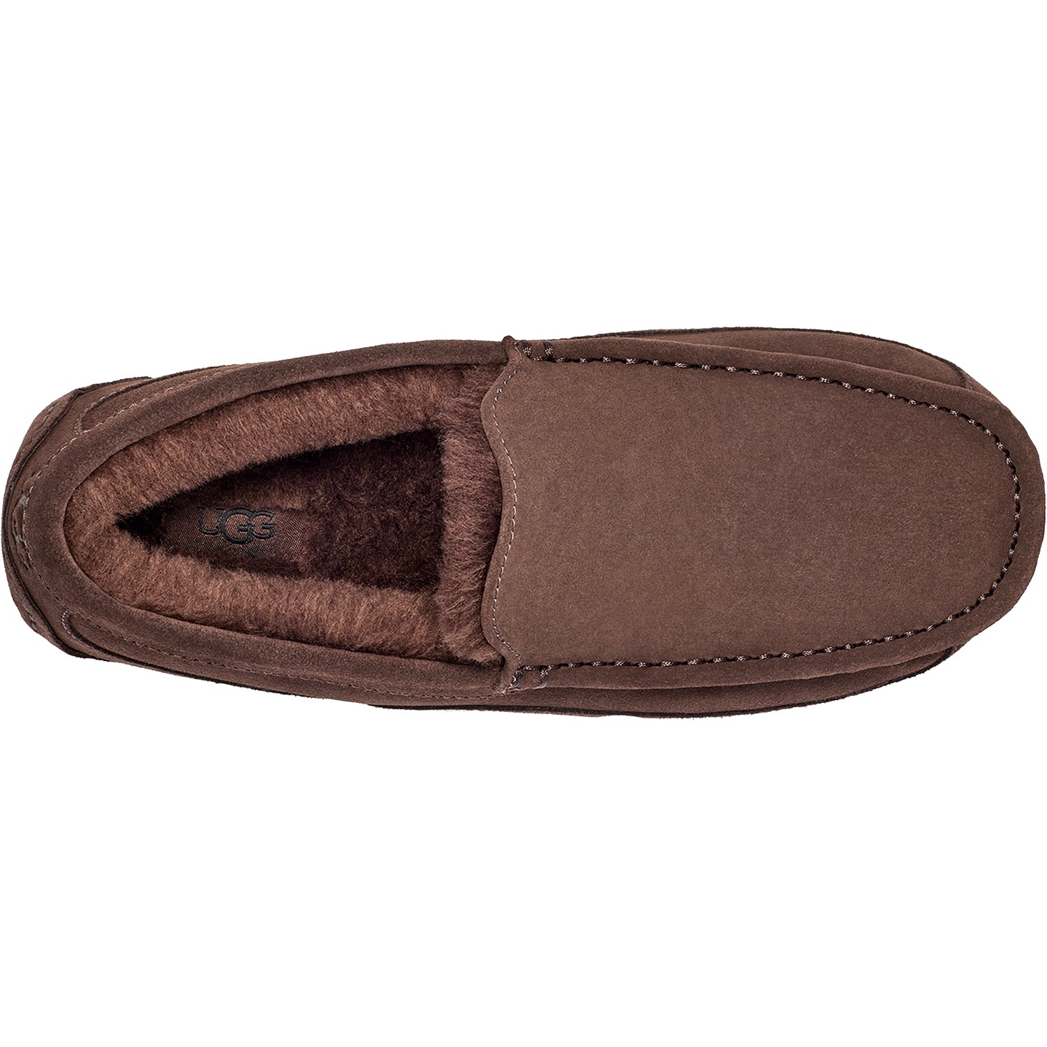 UGG Ascot Men's Slippers Dusted Cocoa Suede