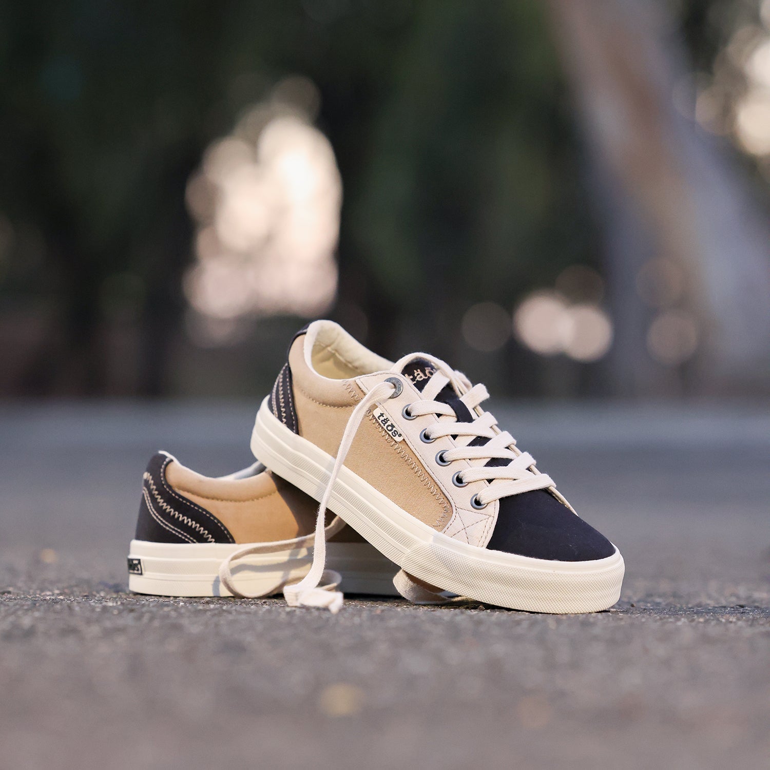 Taos Plim Soul Women's Sneakers Black/Tan Multi Canvas