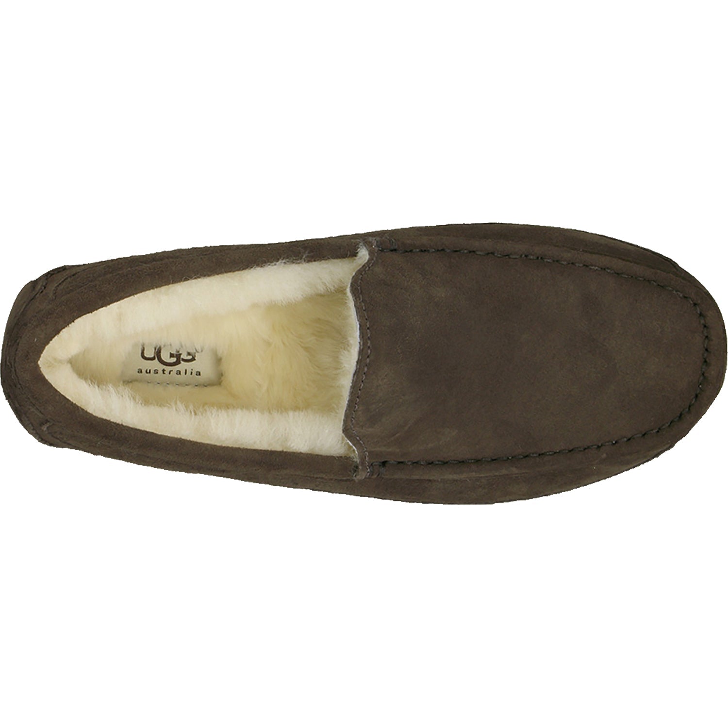UGG Ascot Men's Slippers Espresso Suede