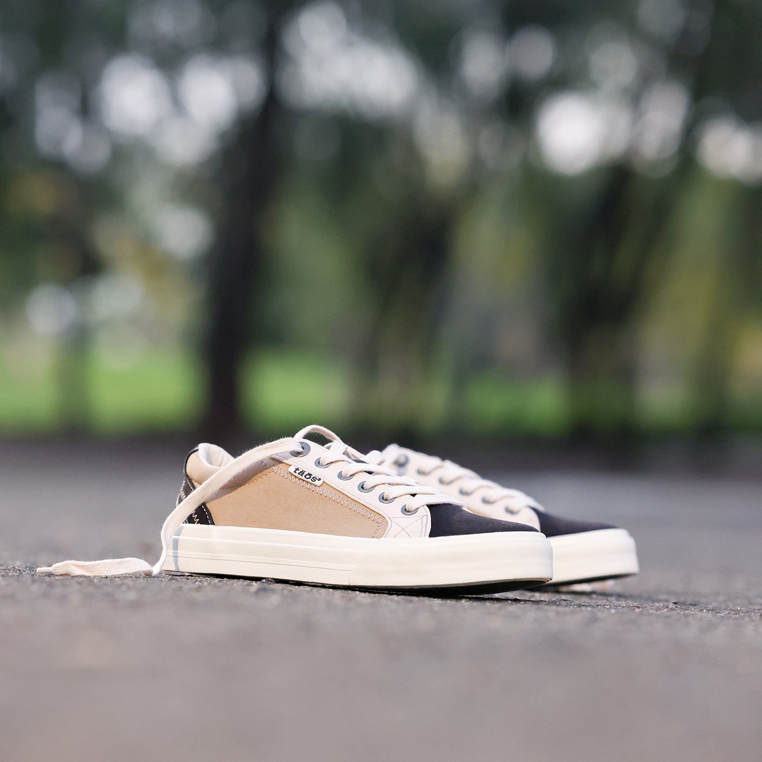 Taos Plim Soul Women's Sneakers Black/Tan Multi Canvas