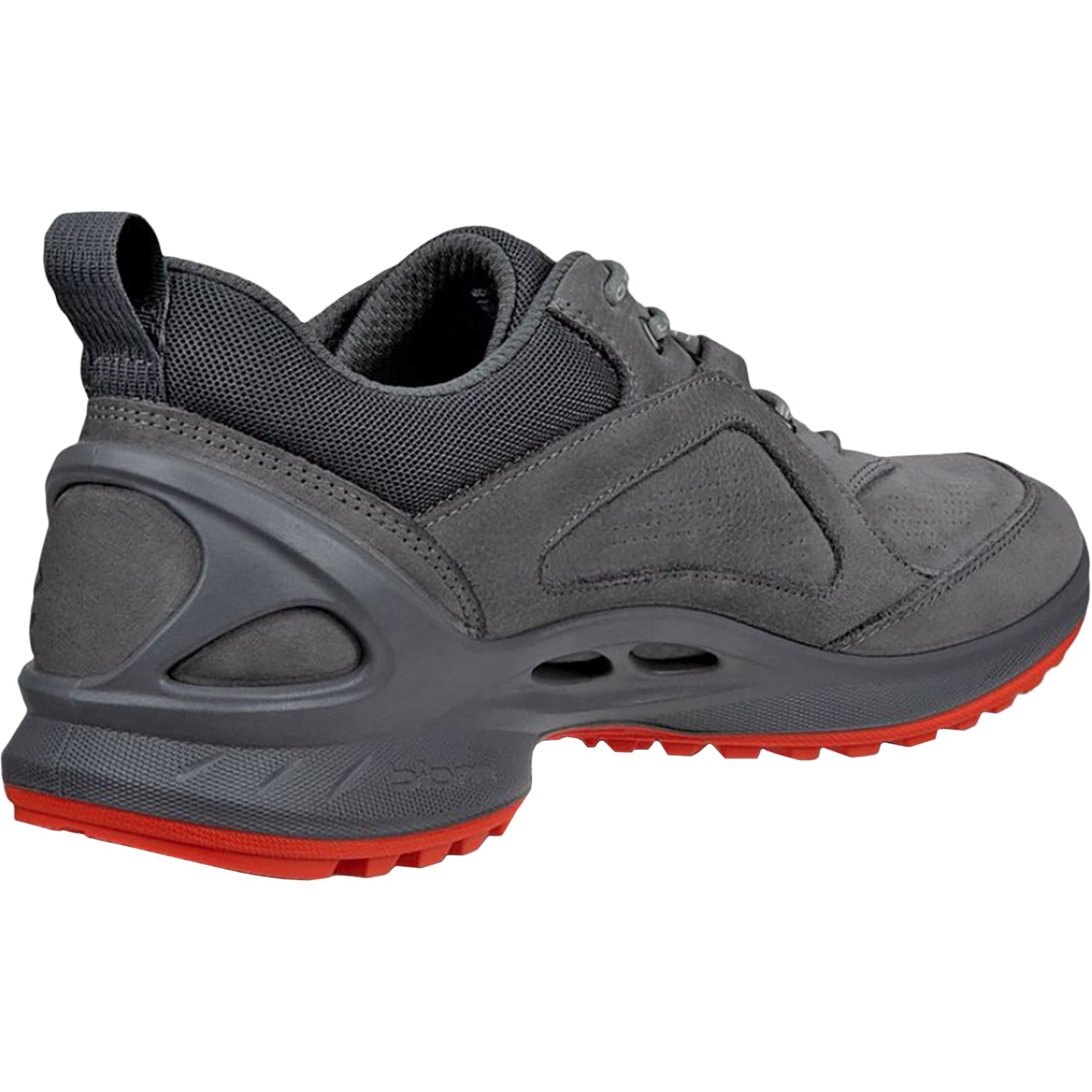 ECCO Biom Energi q Men's Hiking Shoes Magnet