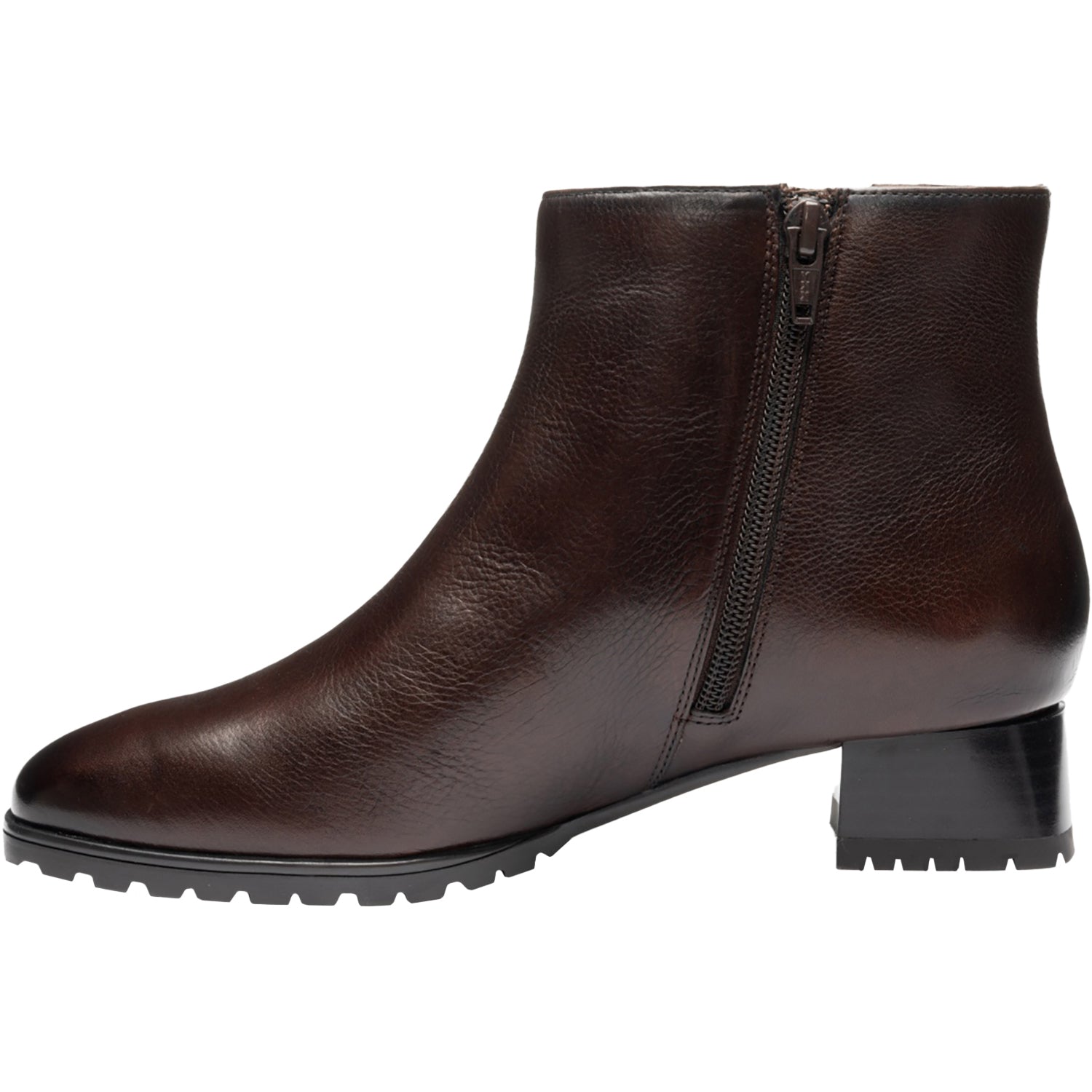 Ara Galway Women's Boots Dressy Cacao Leather